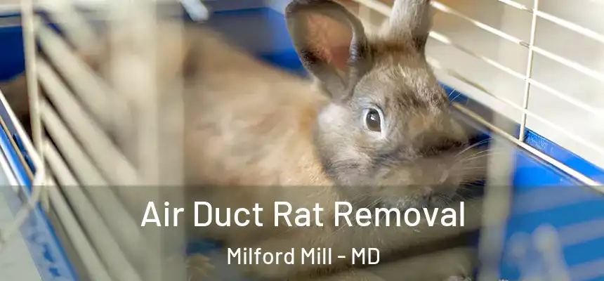 Air Duct Rat Removal Milford Mill - MD