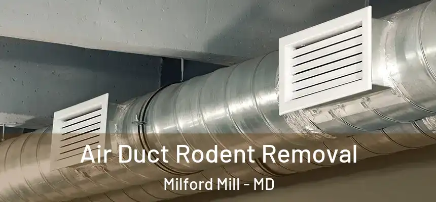Air Duct Rodent Removal Milford Mill - MD