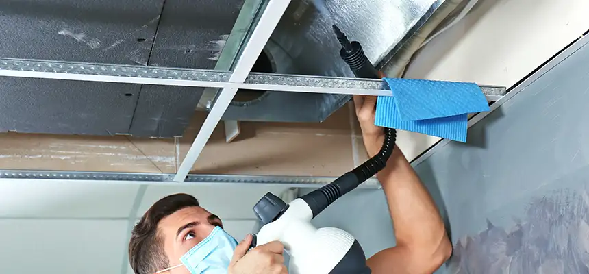 Our Air Duct Rodent Removal Services in Milford Mill, MD