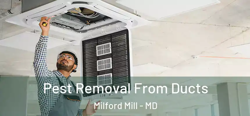 Pest Removal From Ducts Milford Mill - MD