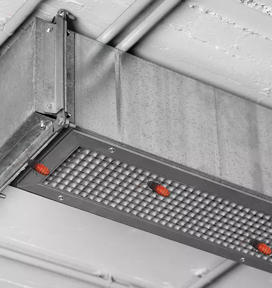 About Air Duct Cockroach Removal in Milford Mill, MD