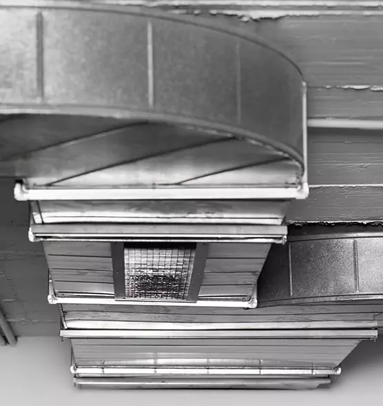 Professional Air Duct Pest Removal in Milford Mill, MD