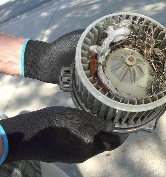 About Air Duct Rat Removal in Milford Mill, MD