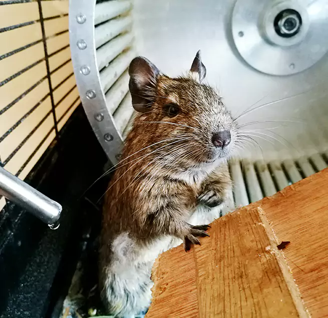 Why Homeowners & Businesses Trust Us Milford Mill, MD?