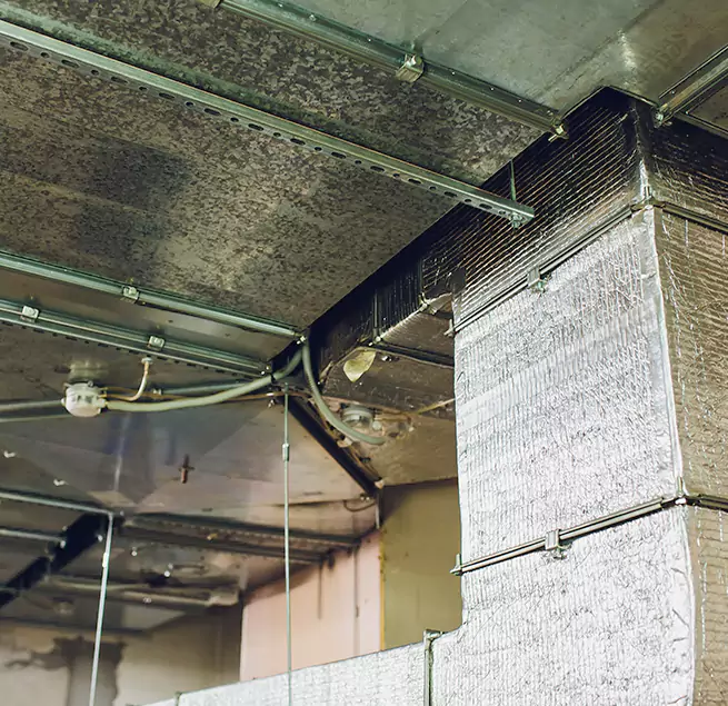 Why Homeowners & Businesses Trust Us in Milford Mill, MD?